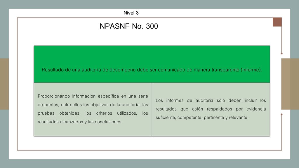 Nivel 3 NPASNF No Resultado de una auditoría de desempeño debe ser comunicado de manera transparente (Informe).