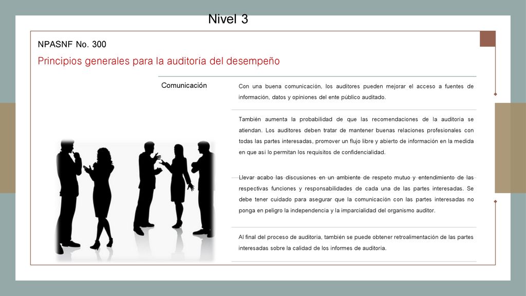 Nivel 3 Principios generales para la auditoría del desempeño