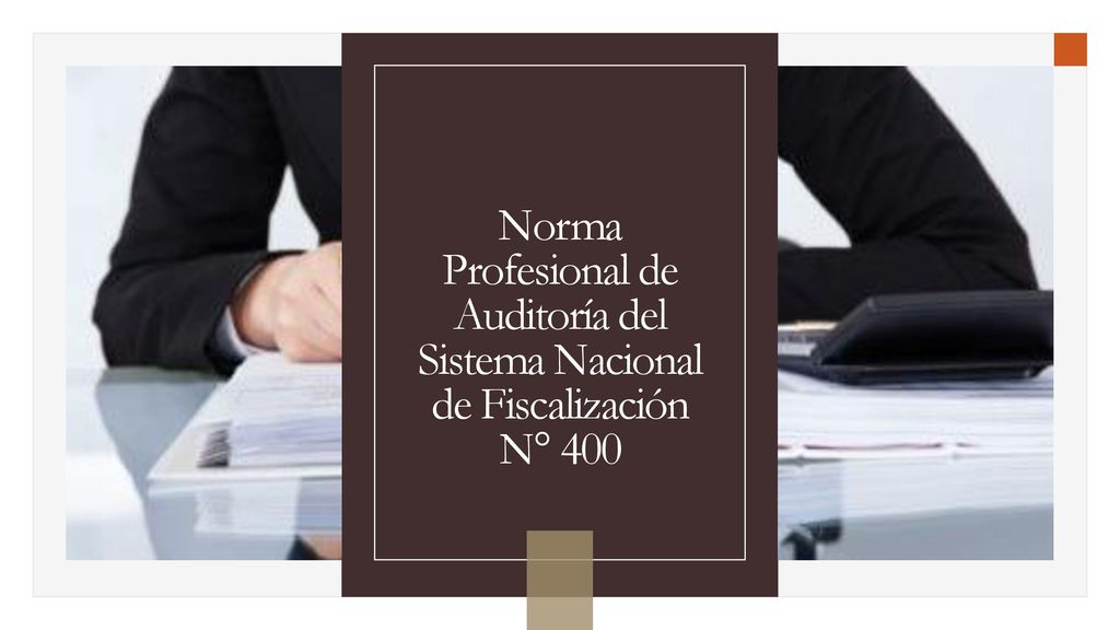 Norma Profesional de Auditoría del Sistema Nacional de Fiscalización N° 400