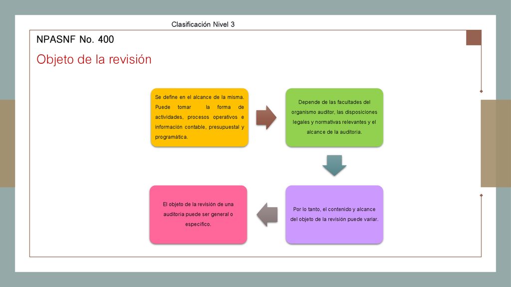 Objeto de la revisión NPASNF No. 400 Clasificación Nivel 3