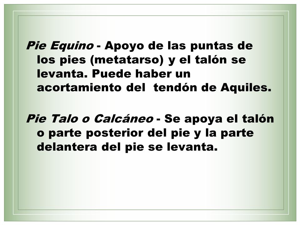 Pie Equino - Apoyo de las puntas de los pies (metatarso) y el talón se levanta. Puede haber un acortamiento del tendón de Aquiles.