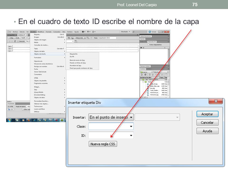 En el cuadro de texto ID escribe el nombre de la capa