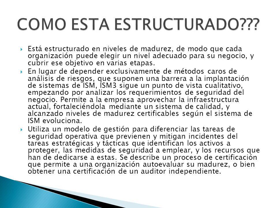 COMO ESTA ESTRUCTURADO