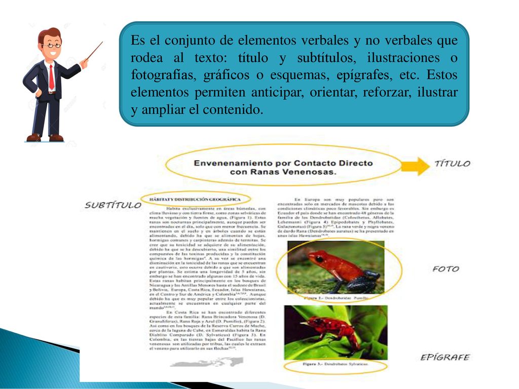 Es el conjunto de elementos verbales y no verbales que rodea al texto: título y subtítulos, ilustraciones o fotografías, gráficos o esquemas, epígrafes, etc.