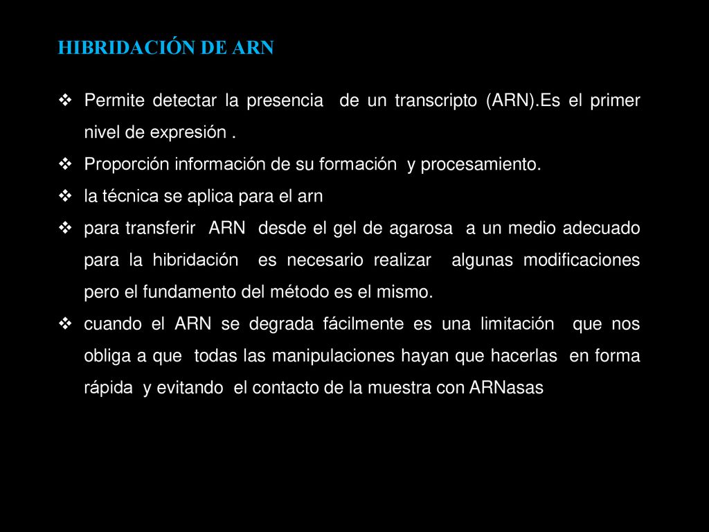 HIBRIDACIÓN DE ARN Permite detectar la presencia de un transcripto (ARN).Es el primer nivel de expresión .