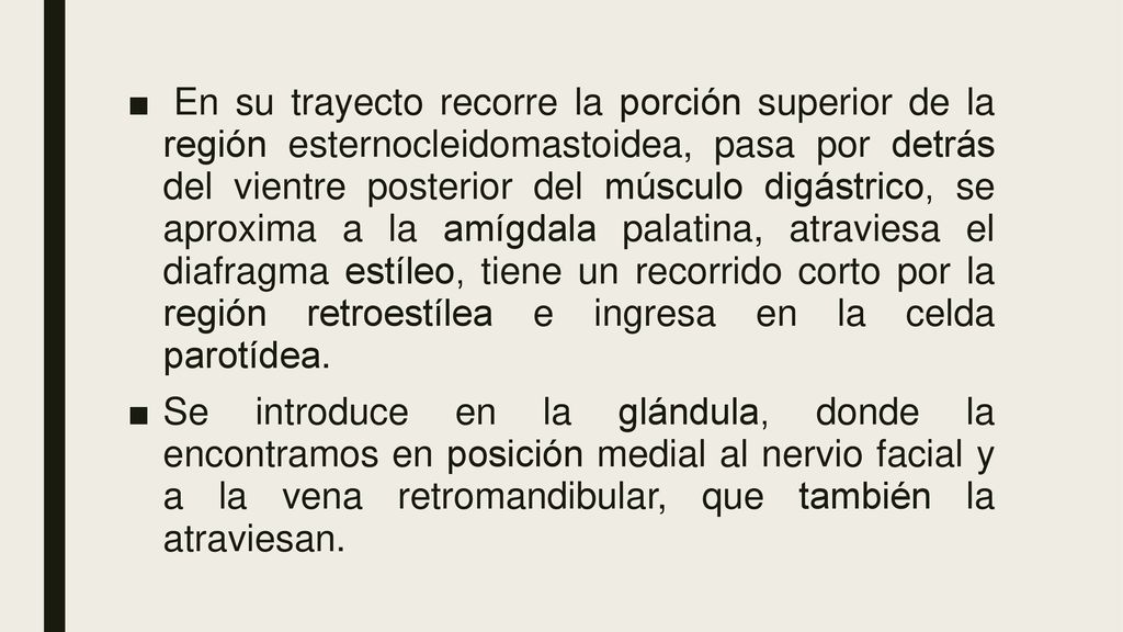 En su trayecto recorre la porción superior de la región esternocleidomastoidea, pasa por detrás del vientre posterior del músculo digástrico, se aproxima a la amígdala palatina, atraviesa el diafragma estíleo, tiene un recorrido corto por la región retroestílea e ingresa en la celda parotídea.