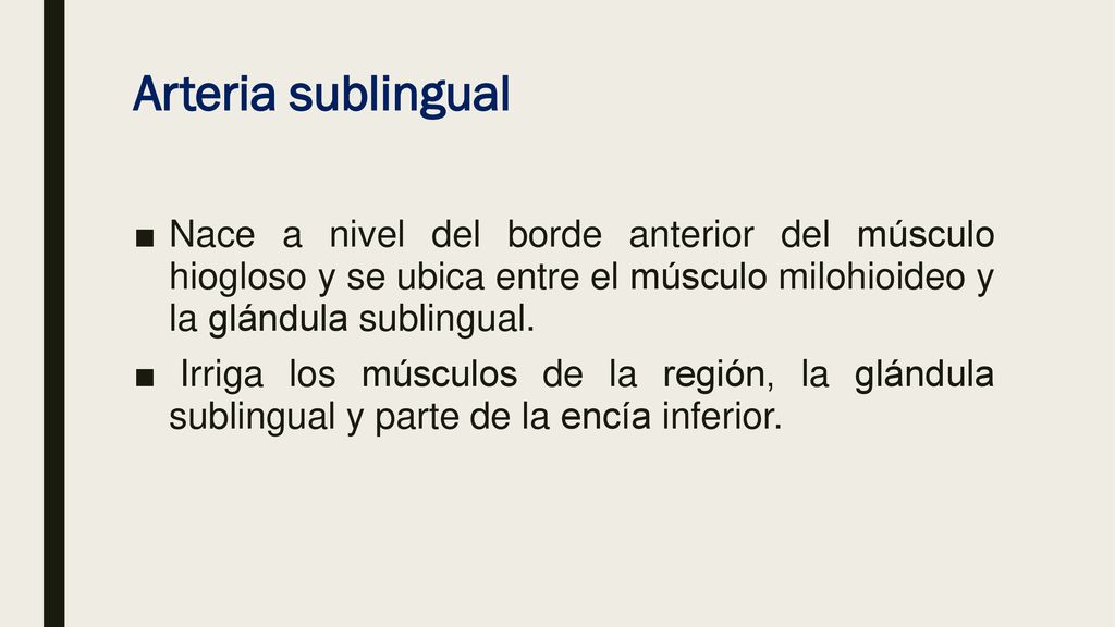 Arteria sublingual Nace a nivel del borde anterior del músculo hiogloso y se ubica entre el músculo milohioideo y la glándula sublingual.