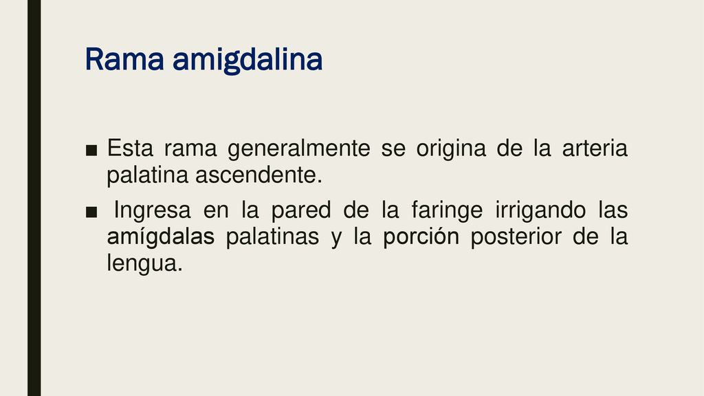 Rama amigdalina Esta rama generalmente se origina de la arteria palatina ascendente.