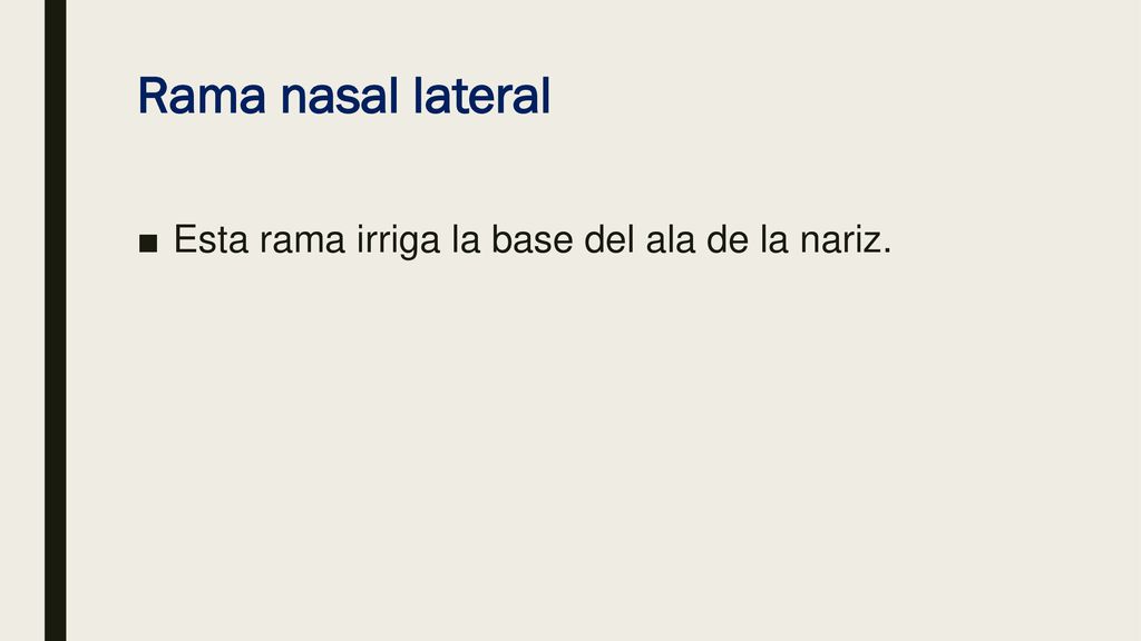 Rama nasal lateral Esta rama irriga la base del ala de la nariz.