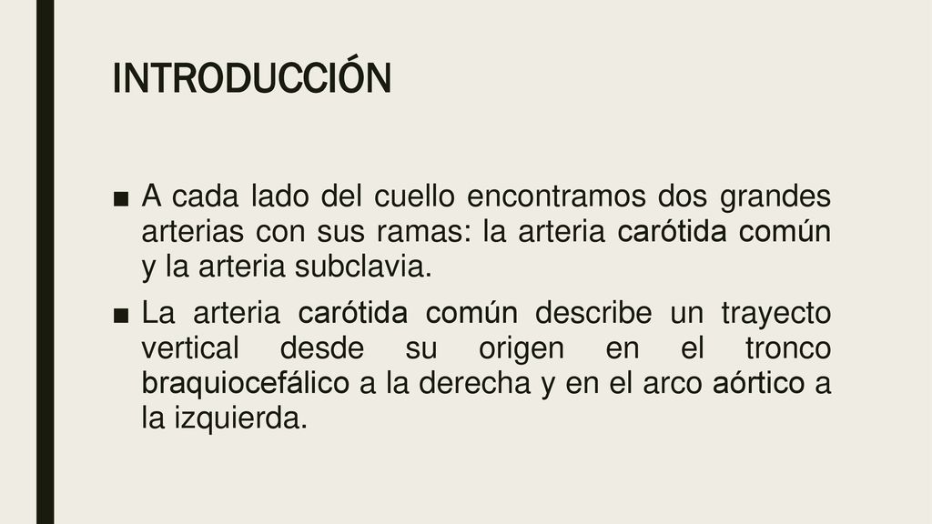 INTRODUCCIÓN A cada lado del cuello encontramos dos grandes arterias con sus ramas: la arteria carótida común y la arteria subclavia.