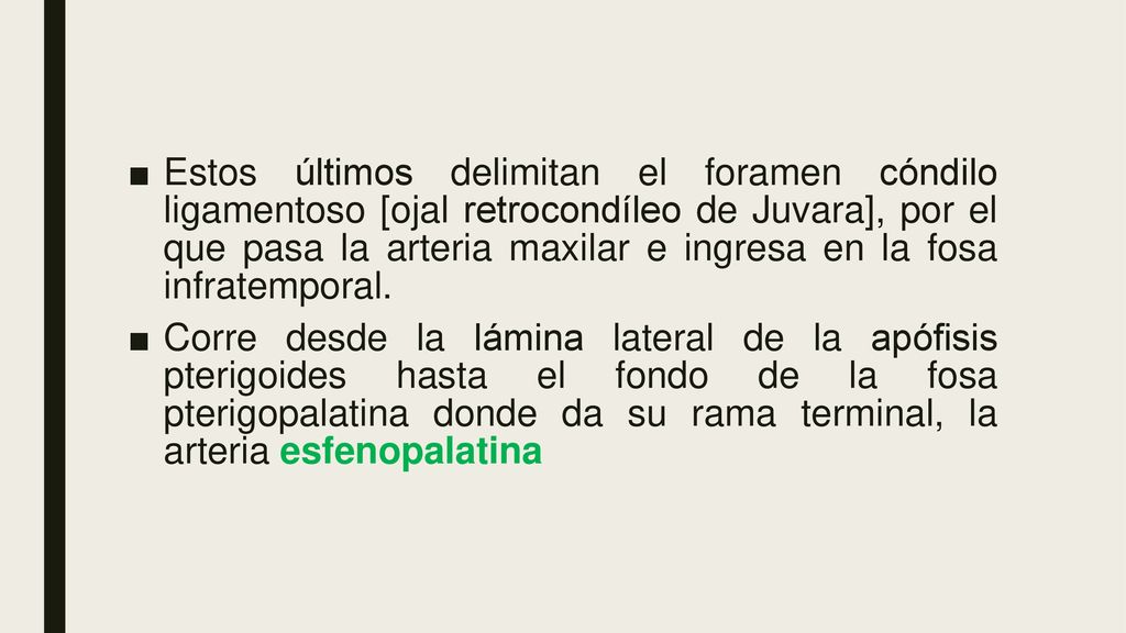 Estos últimos delimitan el foramen cóndilo ligamentoso [ojal retrocondíleo de Juvara], por el que pasa la arteria maxilar e ingresa en la fosa infratemporal.