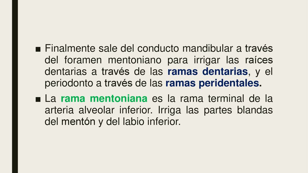 Finalmente sale del conducto mandibular a través del foramen mentoniano para irrigar las raíces dentarias a través de las ramas dentarias, y el periodonto a través de las ramas peridentales.