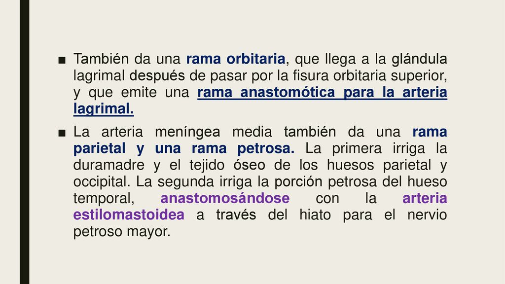 También da una rama orbitaria, que llega a la glándula lagrimal después de pasar por la fisura orbitaria superior, y que emite una rama anastomótica para la arteria lagrimal.