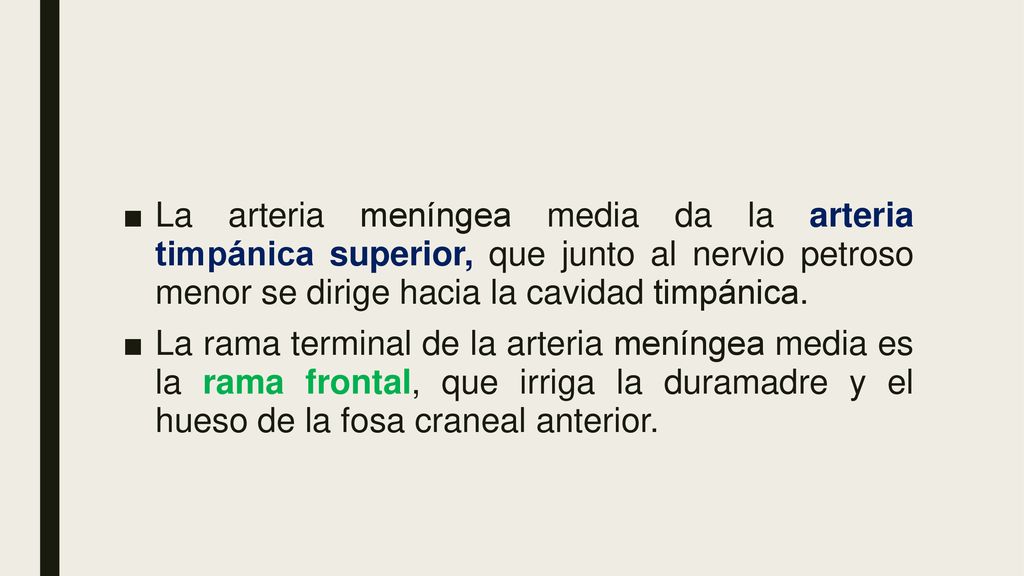 La arteria meníngea media da la arteria timpánica superior, que junto al nervio petroso menor se dirige hacia la cavidad timpánica.