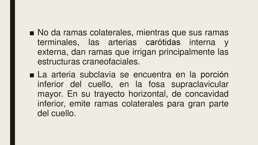 No da ramas colaterales, mientras que sus ramas terminales, las arterias carótidas interna y externa, dan ramas que irrigan principalmente las estructuras craneofaciales.