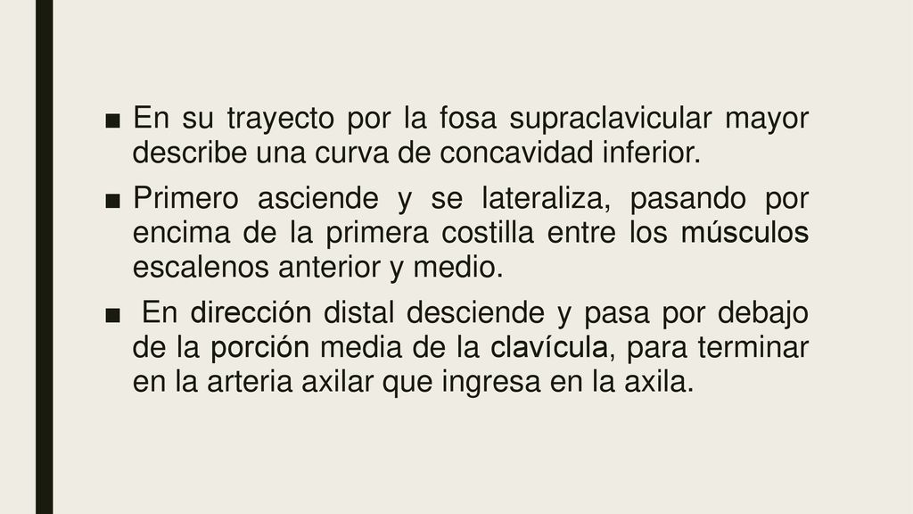 En su trayecto por la fosa supraclavicular mayor describe una curva de concavidad inferior.