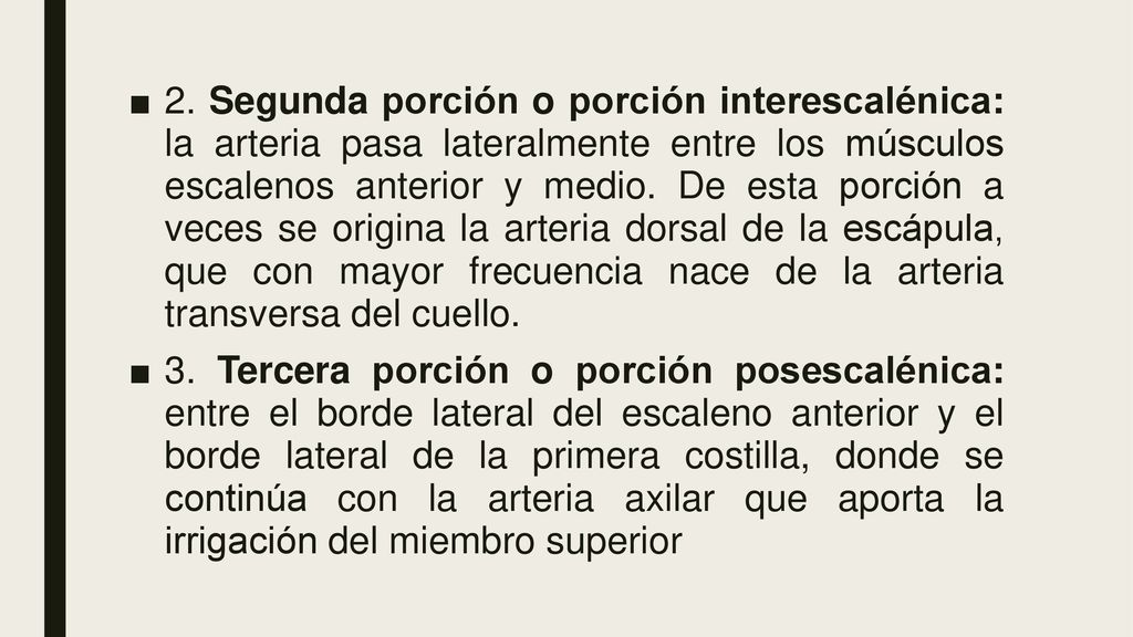 2. Segunda porción o porción interescalénica: la arteria pasa lateralmente entre los músculos escalenos anterior y medio. De esta porción a veces se origina la arteria dorsal de la escápula, que con mayor frecuencia nace de la arteria transversa del cuello.