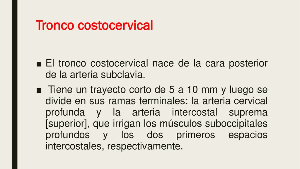 Tronco costocervical El tronco costocervical nace de la cara posterior de la arteria subclavia.