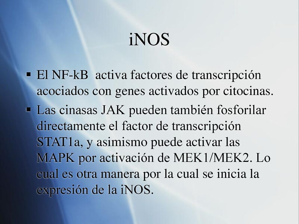 iNOS El NF-kB activa factores de transcripción acociados con genes activados por citocinas.