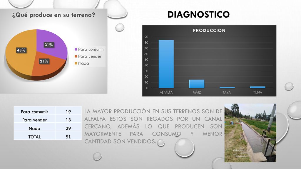 DIAGNOSTICO Para consumir. 19. Para vender. 13. Nada. 29. TOTAL. 51.