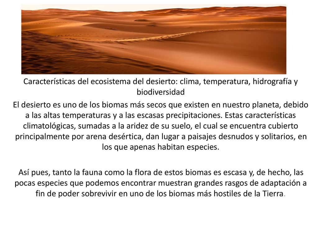 Características del ecosistema del desierto: clima, temperatura, hidrografía y biodiversidad