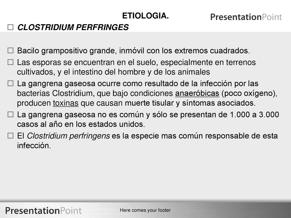 ETIOLOGIA. CLOSTRIDIUM PERFRINGES. Bacilo grampositivo grande, inmóvil con los extremos cuadrados.