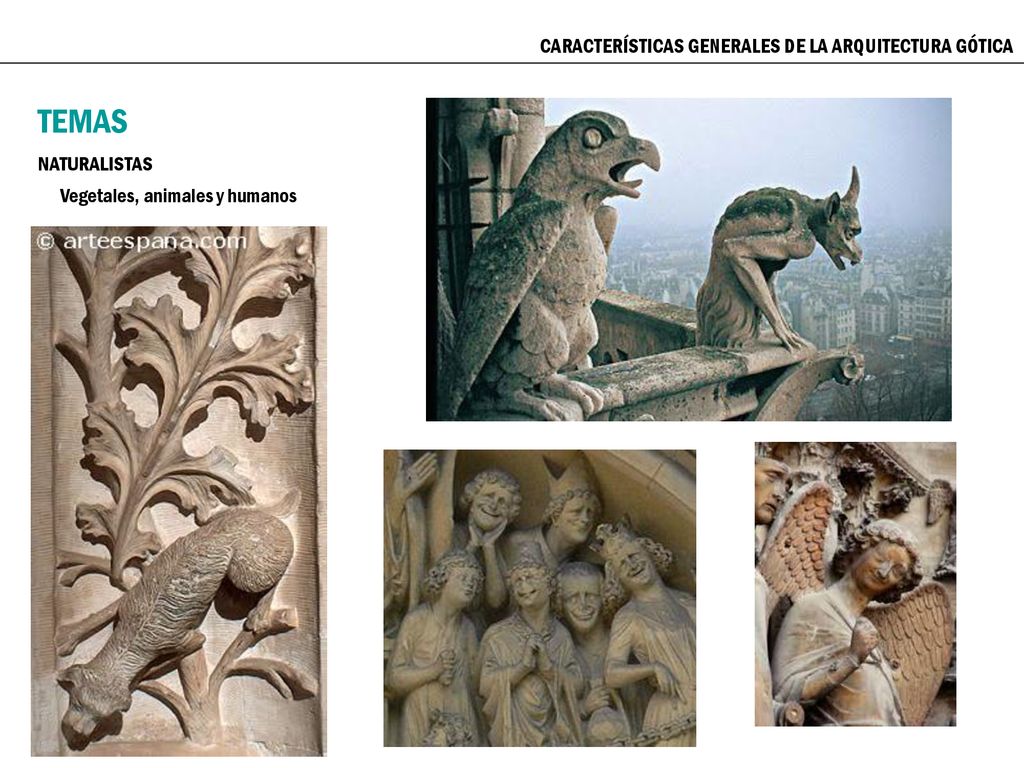TEMAS CARACTERÍSTICAS GENERALES DE LA ARQUITECTURA GÓTICA NATURALISTAS