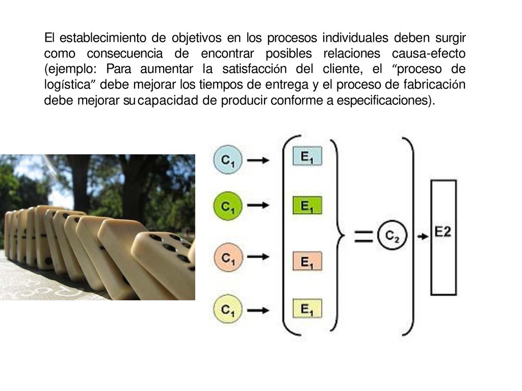 El establecimiento de objetivos en los procesos individuales deben surgir como consecuencia de encontrar posibles relaciones causa-efecto (ejemplo: Para aumentar la satisfacción del cliente, el proceso de logística debe mejorar los tiempos de entrega y el proceso de fabricación debe mejorar su capacidad de producir conforme a especificaciones).