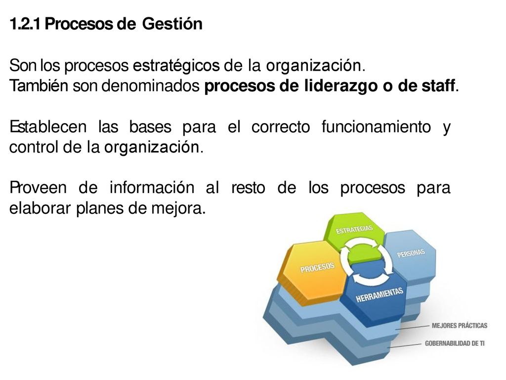 1.2.1 Procesos de Gestión Son los procesos estratégicos de la organización. También son denominados procesos de liderazgo o de staff.