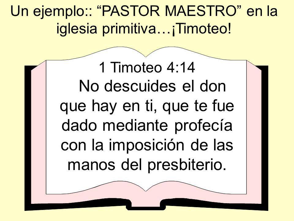 Un ejemplo:: PASTOR MAESTRO en la iglesia primitiva…¡Timoteo!