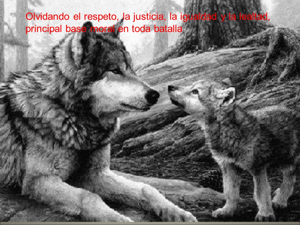Olvidando el respeto, la justicia, la igualdad y la lealtad,