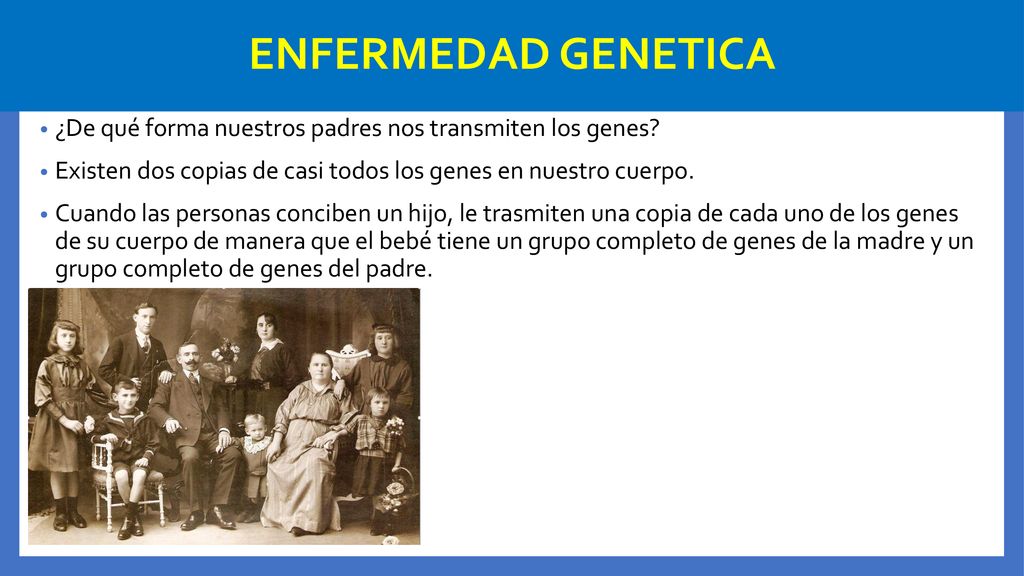 ENFERMEDAD GENETICA ¿De qué forma nuestros padres nos transmiten los genes Existen dos copias de casi todos los genes en nuestro cuerpo.