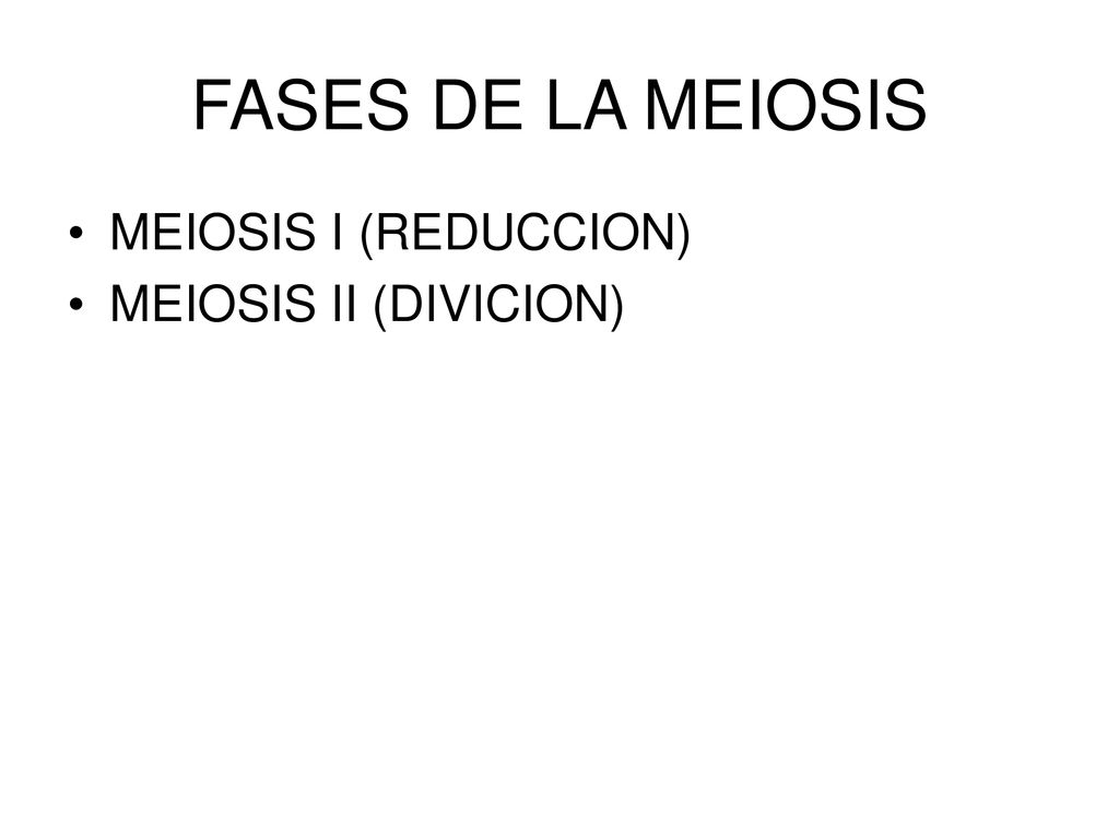 FASES DE LA MEIOSIS MEIOSIS I (REDUCCION) MEIOSIS II (DIVICION)
