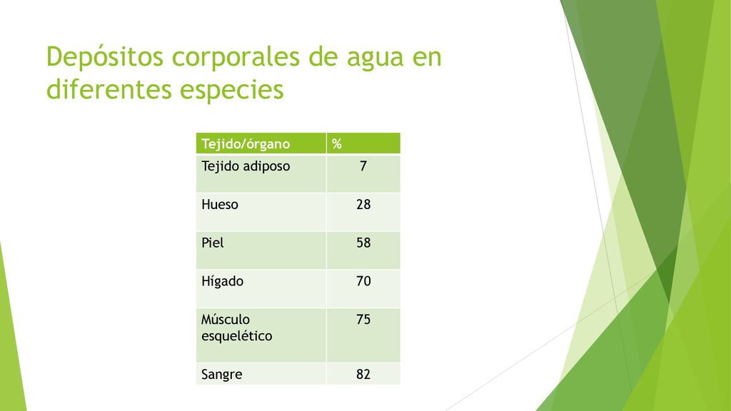 Depósitos corporales de agua en diferentes especies