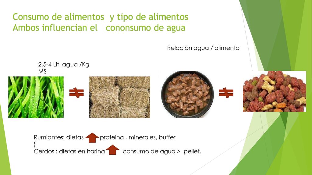 Consumo de alimentos y tipo de alimentos Ambos influencian el cononsumo de agua