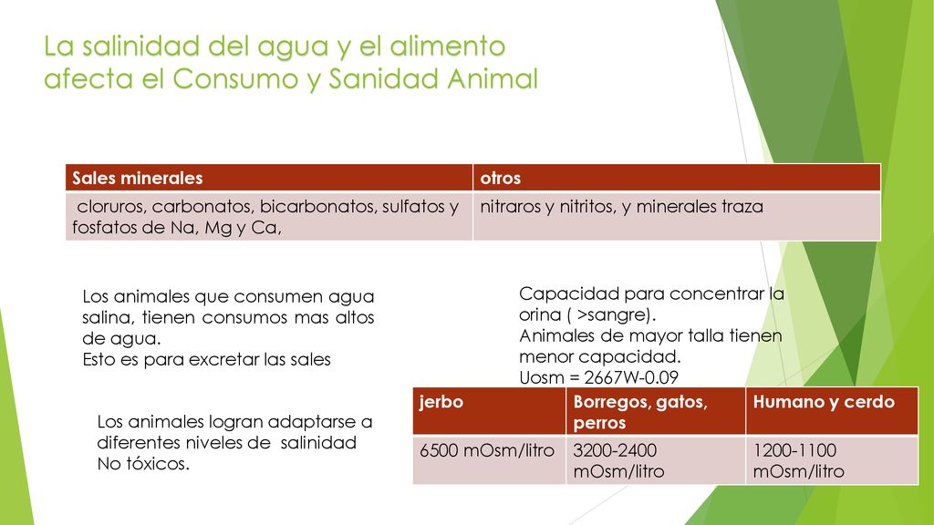La salinidad del agua y el alimento afecta el Consumo y Sanidad Animal