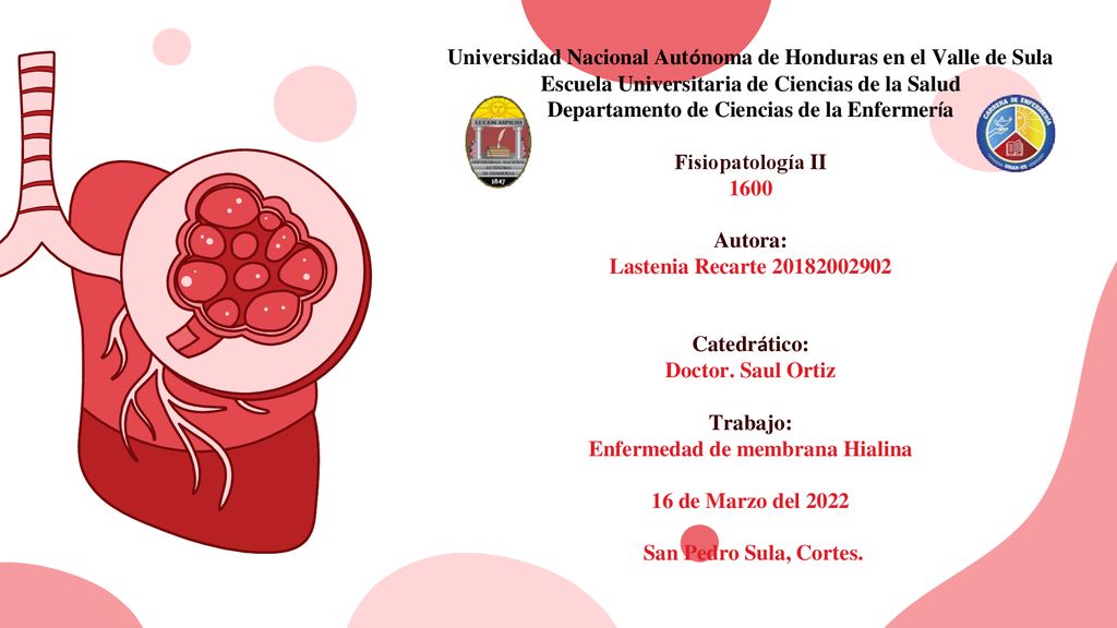 Universidad Nacional Autónoma de Honduras en el Valle de Sula Escuela Universitaria de Ciencias de la Salud Departamento de Ciencias de la Enfermería Fisiopatología II 1600 Autora: Lastenia Recarte Catedrático: Doctor.