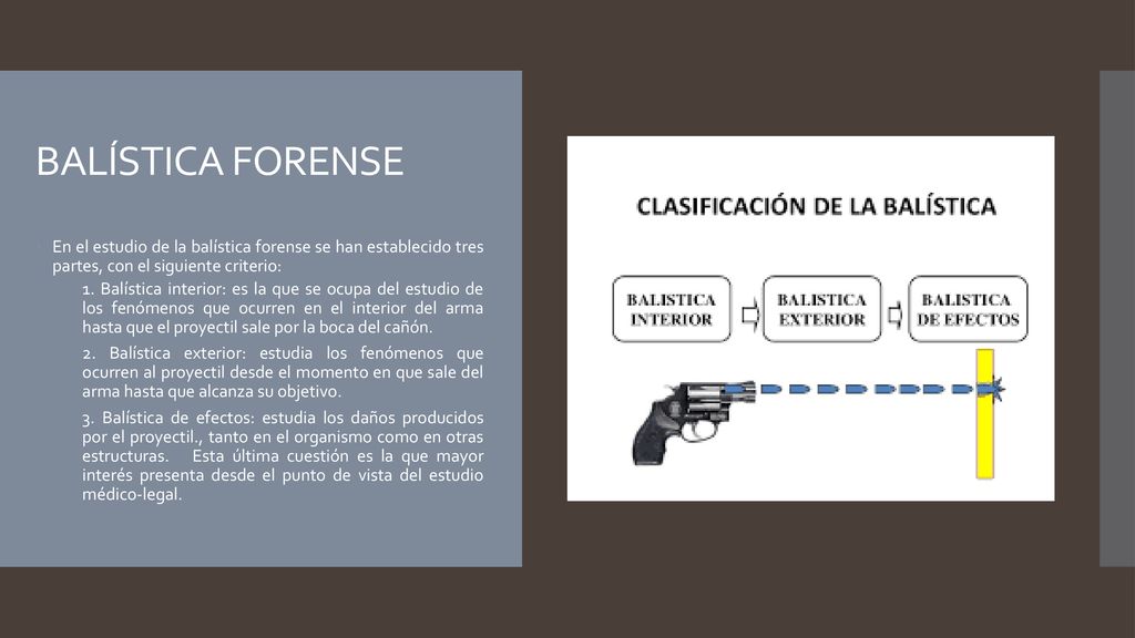 BALÍSTICA FORENSE En el estudio de la balística forense se han establecido tres partes, con el siguiente criterio: