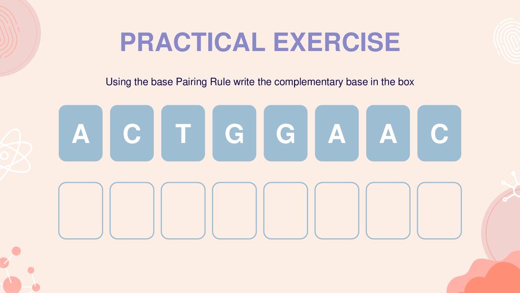 Using the base Pairing Rule write the complementary base in the box
