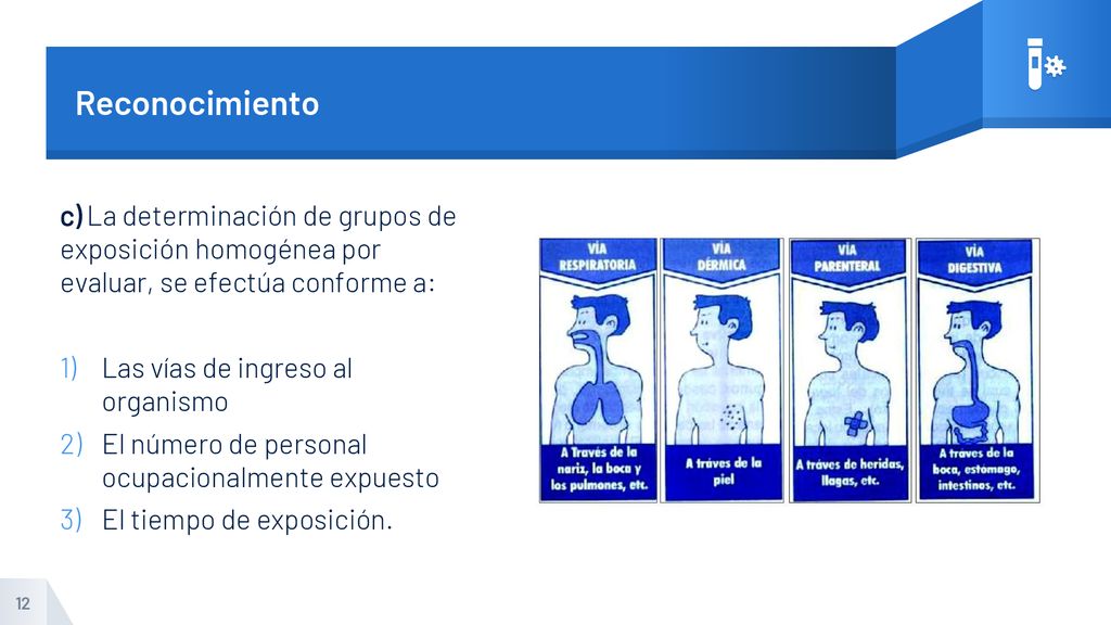 Reconocimiento c) La determinación de grupos de exposición homogénea por evaluar, se efectúa conforme a: