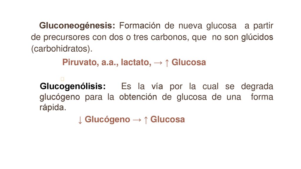 Gluconeogénesis: Formación de nueva glucosa a partir de precursores con dos o tres carbonos, que no son glúcidos (carbohidratos).