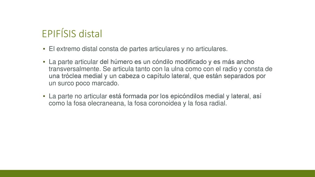 Epifísis distal El extremo distal consta de partes articulares y no articulares.