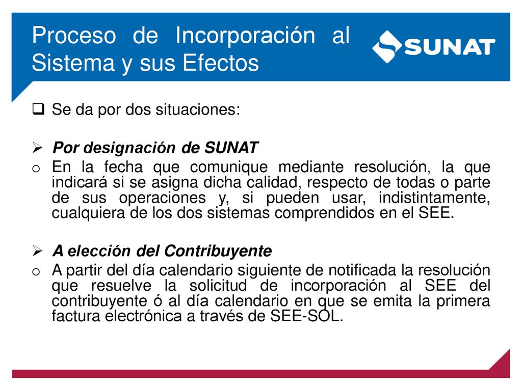 Proceso de Incorporación al Sistema y sus Efectos