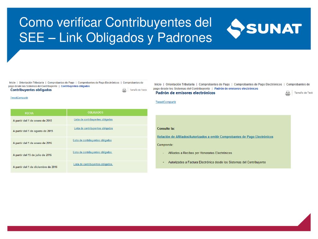 Como verificar Contribuyentes del SEE – Link Obligados y Padrones