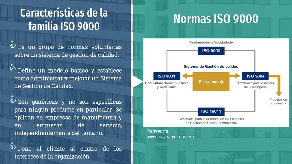 Normas ISO 9000 Características de la familia ISO 9000