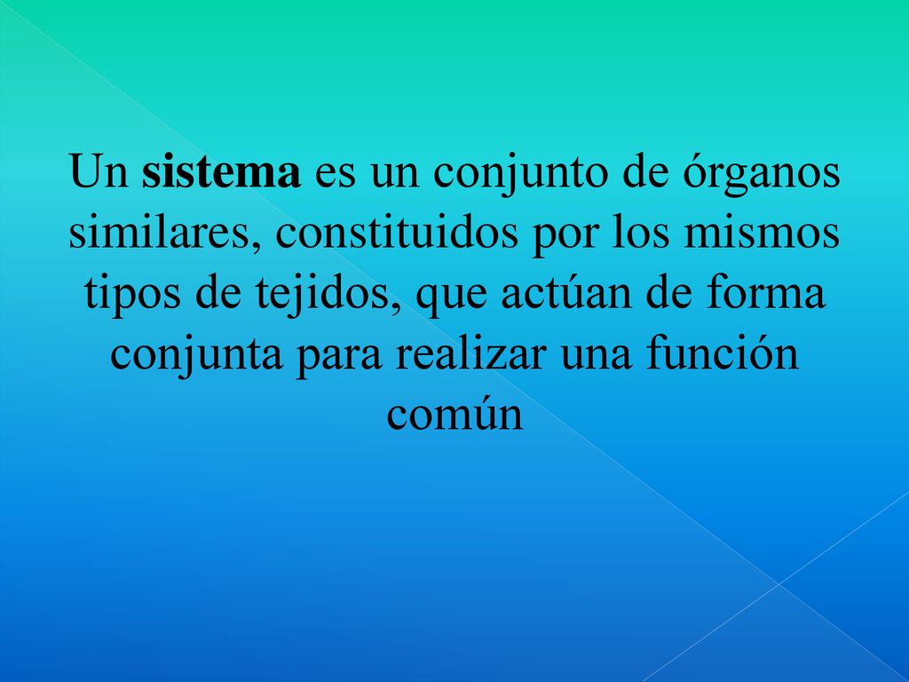 Un sistema es un conjunto de órganos similares, constituidos por los mismos tipos de tejidos, que actúan de forma conjunta para realizar una función común