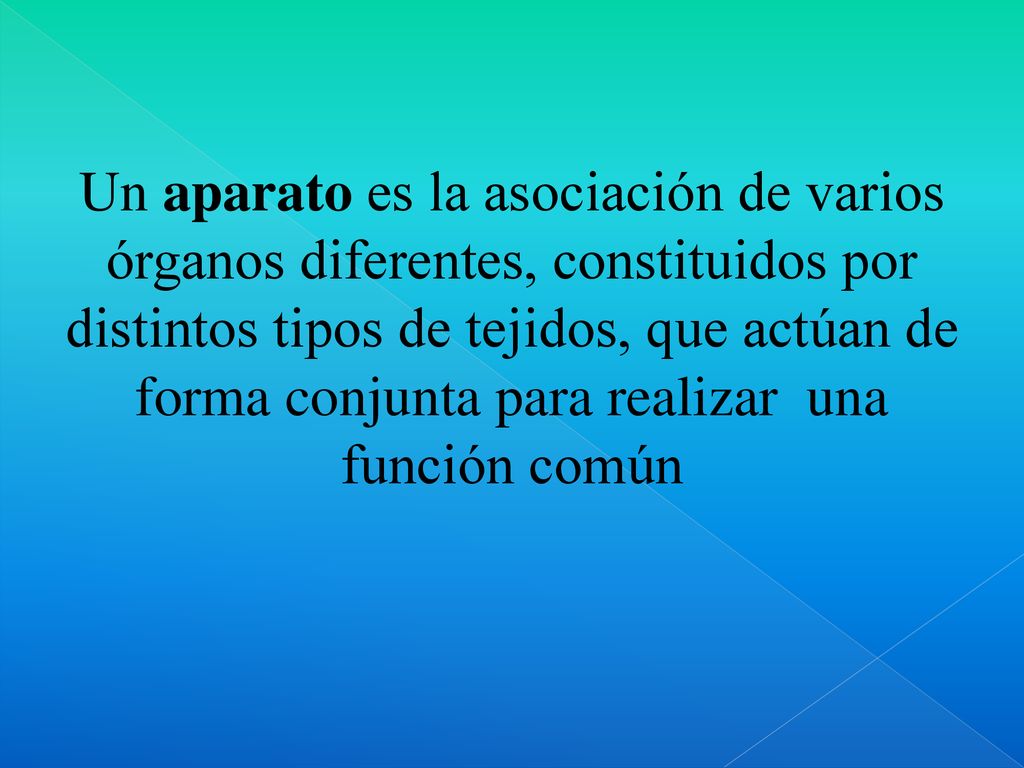 Un aparato es la asociación de varios órganos diferentes, constituidos por distintos tipos de tejidos, que actúan de forma conjunta para realizar una función común