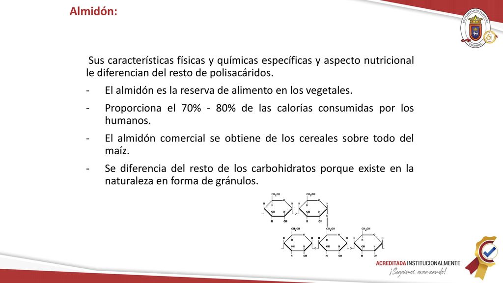 Almidón: Sus características físicas y químicas específicas y aspecto nutricional le diferencian del resto de polisacáridos.