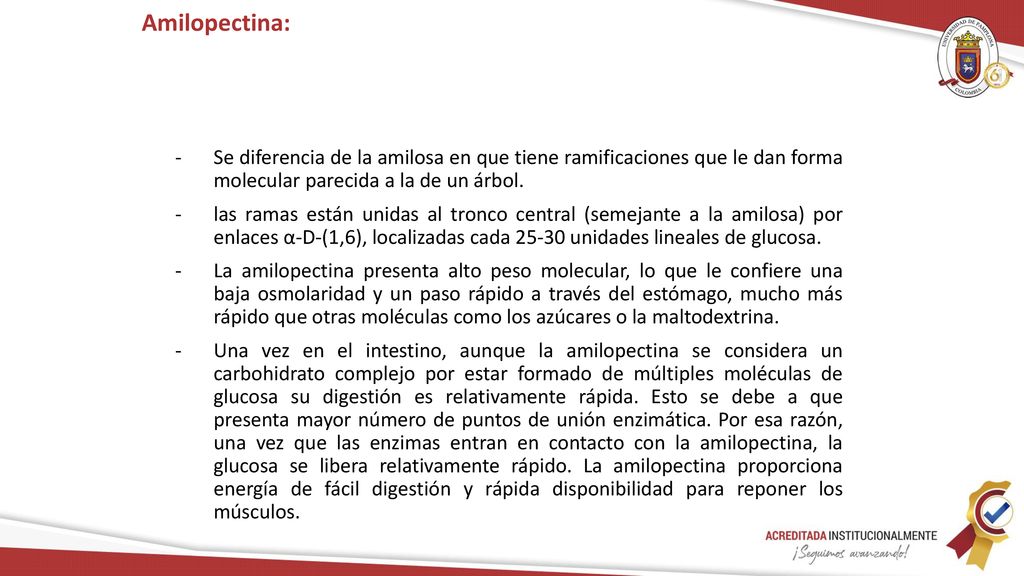 Amilopectina: Se diferencia de la amilosa en que tiene ramificaciones que le dan forma molecular parecida a la de un árbol.