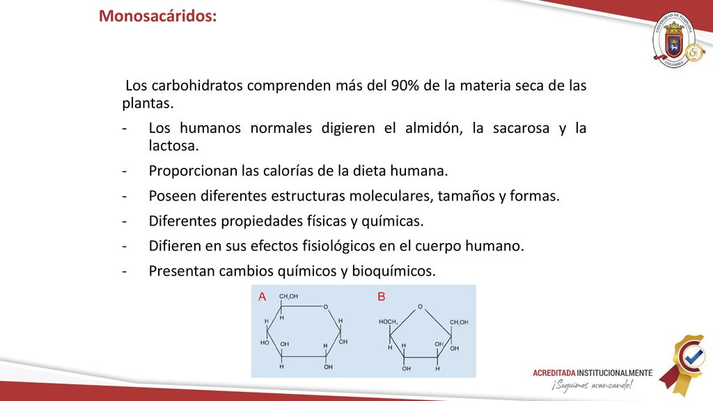 Monosacáridos: Los carbohidratos comprenden más del 90% de la materia seca de las plantas.